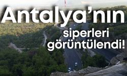 Antalya’da ilk kez görebilirsiniz! Hayvanat bahçesinde siper görüntülendi!