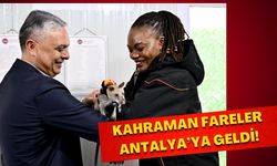 Kahraman fareler Antalya’ya geldi!
