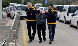 Adana'da iki kedinin üzerinden geçen şahsa barınakta çalışma cezası