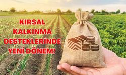 Kırsal kalkınma desteklerinde yeni dönem! Hibe oranı yüzde 70’e çıkıyor