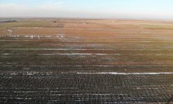 Konya Ovası'nda kar yetersiz, zirai don tehlikesi var