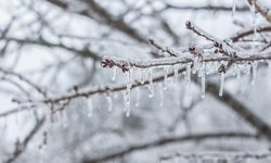 Antalya’da zirai don ne kadar sürecek? Meteoroloji açıkladı