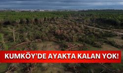 Kumköy’de köklerinden kopan hayat! Doğanın yenilgisinin en net görüntüsü