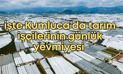 Tarımın kalbi Kumluca’da 2026 yılı işçi yevmiyeleri belli oldu