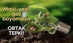 Mavi-yeşil göz boyamaya ortak tepki!