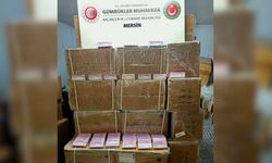 Mersin Limanı'nda 280 bin sentetik hap ele geçirildi