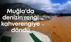 Muğla’da denizin rengi kahverengiye döndü
