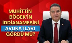 Böcek iddianamesini avukatları gördü mü? Cavit Arı'dan dikkat çeken değerlendirme