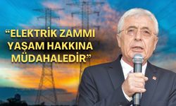 CHP Antalya İl Başkanı Kamacı: “Elektrik zammı yaşam hakkına müdahaledir”