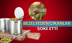 Antalya’da gıda skandalı! Bezelyeden çıkanlar şoke etti