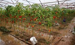 Antalya’da tarım alarm veriyor: 14 bin dekar alan sular altında