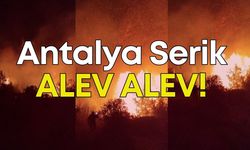 Antalya Serik’te orman yangını!