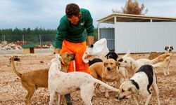 Antalya'da can dostlara 84 dönümlük yaşam alanı