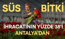 Süs bitki ihracatının yüzde 38'i Antalya'dan