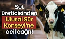 Süt üreticisinden Ulusal Süt Konseyi'ne acil çağrı!
