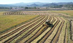 Kırsal kalkınma destekli tarım projeleri için tarih verildi