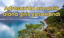 Adrasan'da ormanlık alana giriş yasaklandı