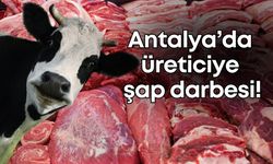 Antalya’da üreticiye şap darbesi! Et fiyatlarında zam beklentisi