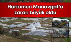 Hortumun Manavgat'a zararı büyük oldu