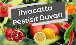 Türkiye, pestisitli sebze-meyvede Avrupa 2’ncisi