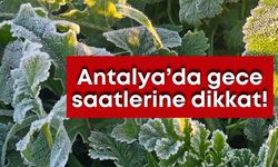 Antalya’da gece saatlerine dikkat: Zirai don bekleniyor