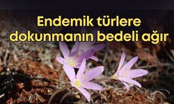 Endemik türlere dokunmanın bedeli ağır