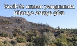 Serik'te 5 saat süren orman yangınında bilanço ortaya çıktı
