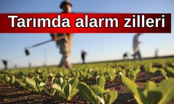 Tarımda alarm zilleri: Girdi fiyatları üreticiyi sıkıştırıyor