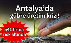 Antalya’da gübre üretim krizi: Kentte 541 firma risk altında