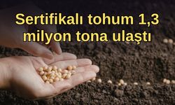 Sertifikalı tohum 1,3 milyon tona ulaştı