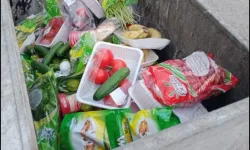 Antalya'da çöpe giden emek! Vatandaşın içi yandı