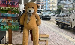 Alanya'da ilginç hırsızlık: 100 TL bırakıp 5 bin TL'lik ayıyı çaldılar