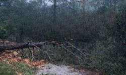 Alanya’da heyelan yolu kapattı! Öğrenciler okula gidemedi