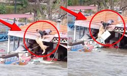 Alanya Kaymakamı’ndan ‘Paşa’yı kurtaranlara teşekkür ve ödül