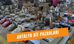 Antalya Bit Pazarları: Hangi Gün ve Nerede Kuruluyor?