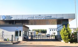 Antalya’da sokak hayvanları için acil ihbar hattı değişti