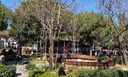 Aydın Kanza Parkı’nda ağaçların sessiz çığlığı: Demir kelepçeler yıllardır çıkarılmamış