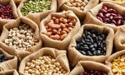 Bakanlıktan baklagillerde bulunan lektine karşı uyarı!