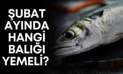 Şubat ayında hangi balığı yemeli? İşte cevabı