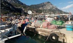 Antalya Balıkçı Barınağı'nda kayyum istenmiyor