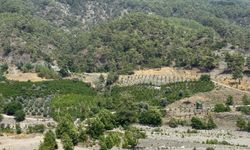 Antalya'da Cumhurbaşkanlığı kararına yürütmeyi durdurma!