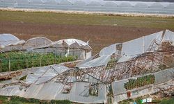 Gazipaşa’da dolu ve fırtınanın tarıma zararı 58 milyon lira!