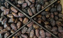 Ramazan öncesi hurma tezgahları hareketlendi! Fiyatlar 600 TL’ye kadar çıkıyor