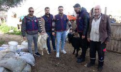 Manavgat'ta oğlağın ölümü hırsızlığı ortaya çıkardı: JASAT saniye saniye inceledi