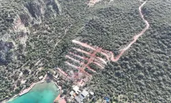 Aliye Coşar'dan Limanağzı tepkisi: "Doğa pazarlık konusu olamaz"