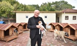 Kepez’de sokak hayvanlarına hayırsever desteği