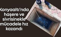 Konyaaltı’nda haşere ve sivrisinekle mücadele hız kazandı
