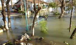 Manavgat Irmağı coştu! İşletmeler sular altında kaldı