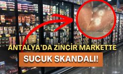 Antalya’da zincir markette sucuk skandalı!