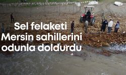Sel felaketi Mersin sahillerini odunla doldurdu